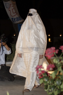 Afghan woman's chadari, worn at a fashion show in Kabul, 2006. The chadari now is housed in the TRC collection (TRC 2006.0261). For more information, click the illustration.