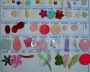 Selection of Chinese made paillettes.