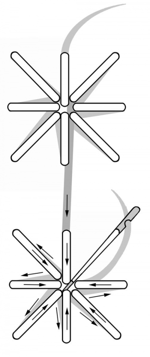 Schematic drawing of an Algerian eyelet.
