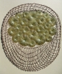 Kazuhito Takadoi: "Kyousai 2"