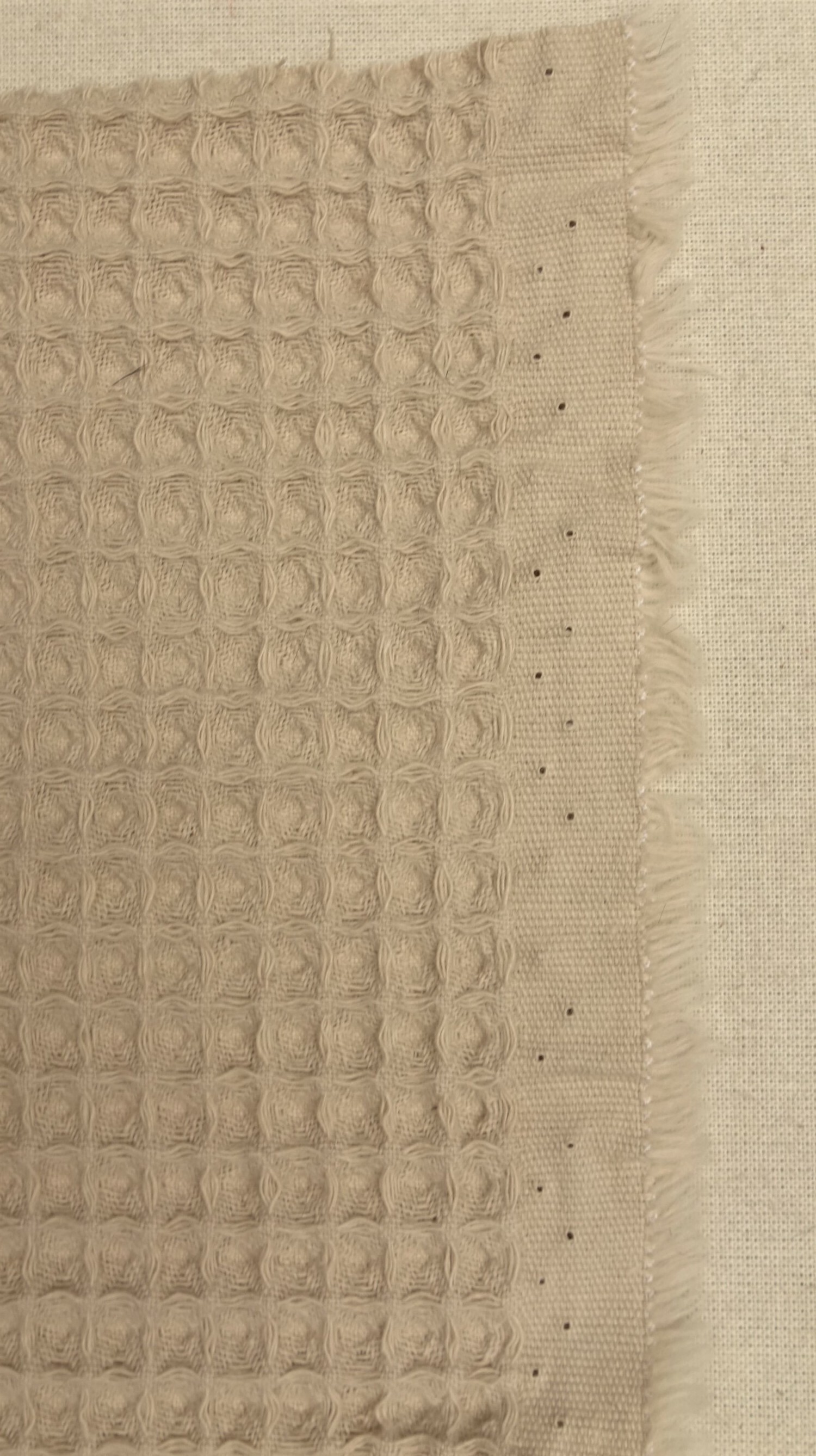Fig. 6. Sample of cloth woven on a rapier loom. The selvedge area has been strengthened with extra warp threads (TRC 2023.0638).