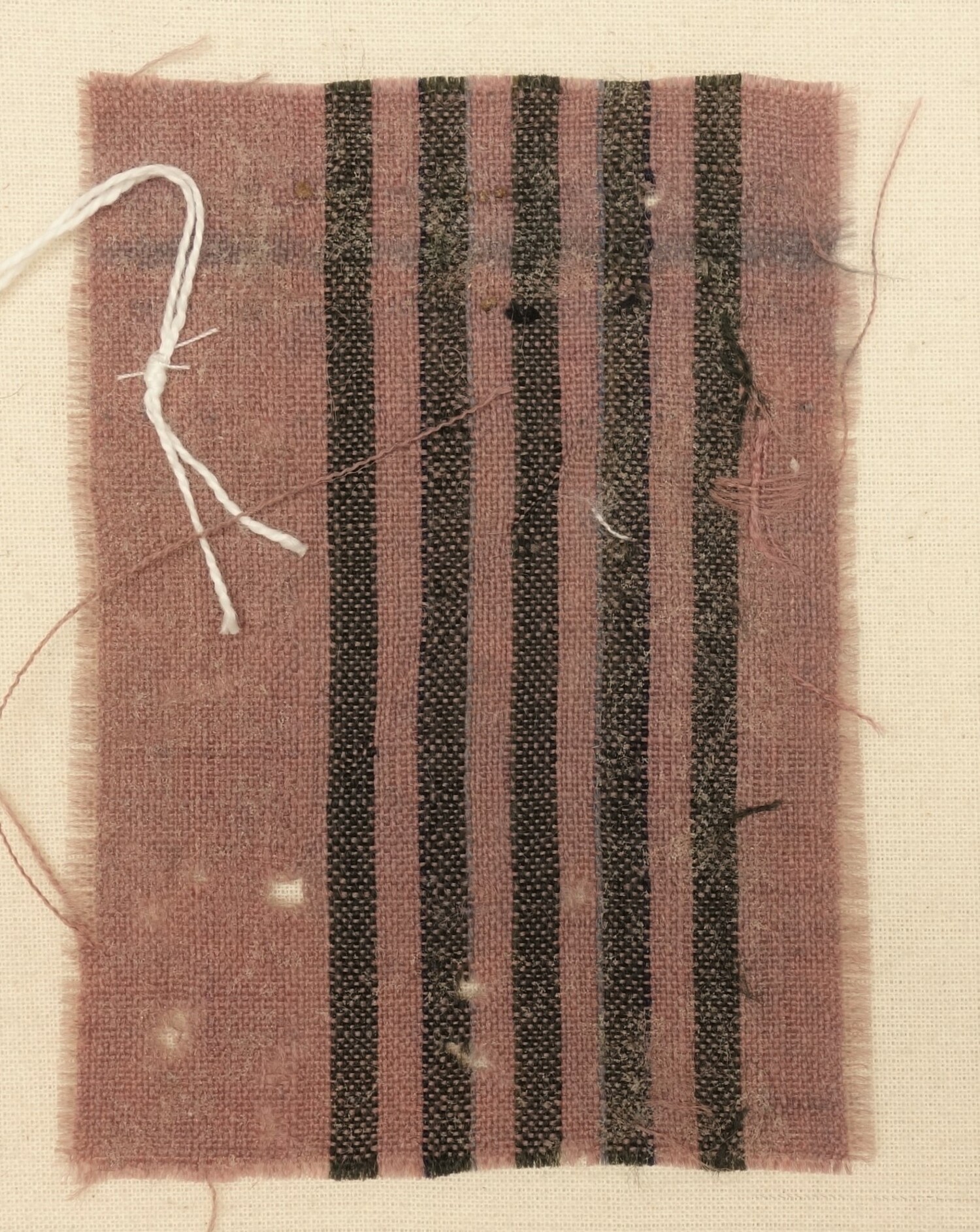 Sample of worsted cloth (stuff) with narrow black stripes on a purple ground. Norwich, 18th century (TRC 2023.0877).
