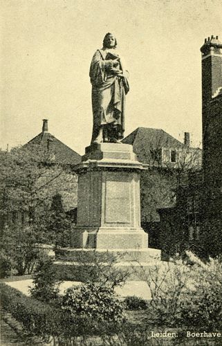 Photograph of Boerhaave's statue at the beginning of the Boerhaavelaan, ca. 1950.