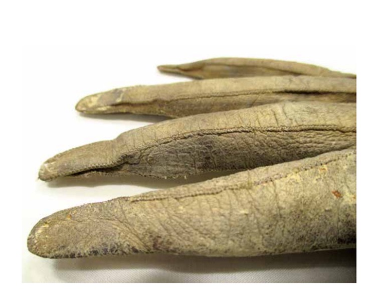 Fig. 4: Elongated fingertips on 17th-century glove (Willemsen, p.15).
