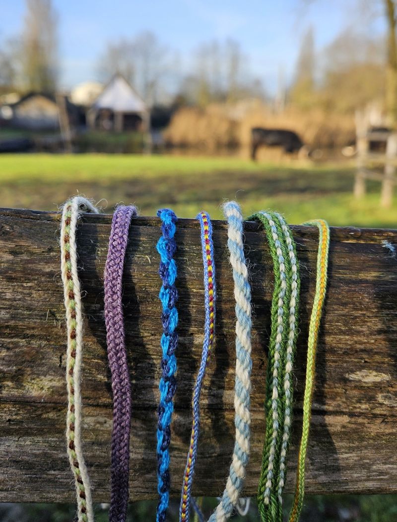 Voorbeeld van vingerlus vlechten. Bron: Karin Vingerhoets